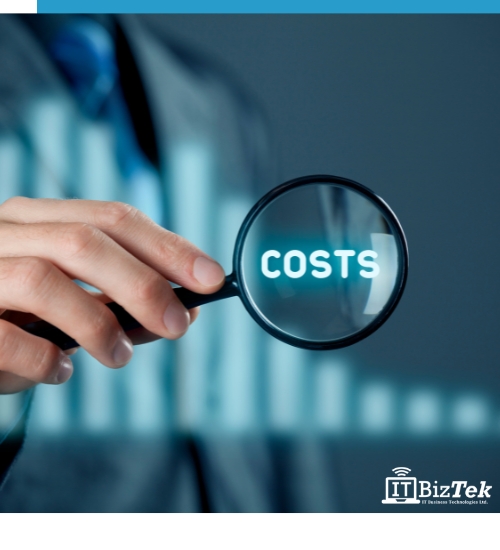 Cost effective IT procurement