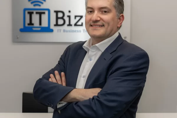 Executive IT Consulting