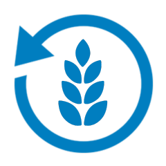 IT Services for Cannabis Industry